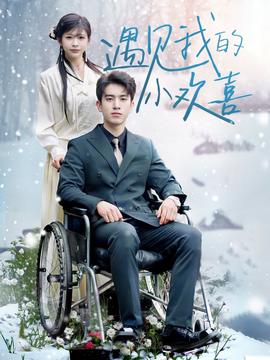 遇見我的小歡喜