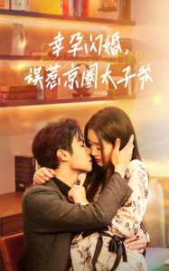 幸孕閃婚，誤惹京圈太子爺